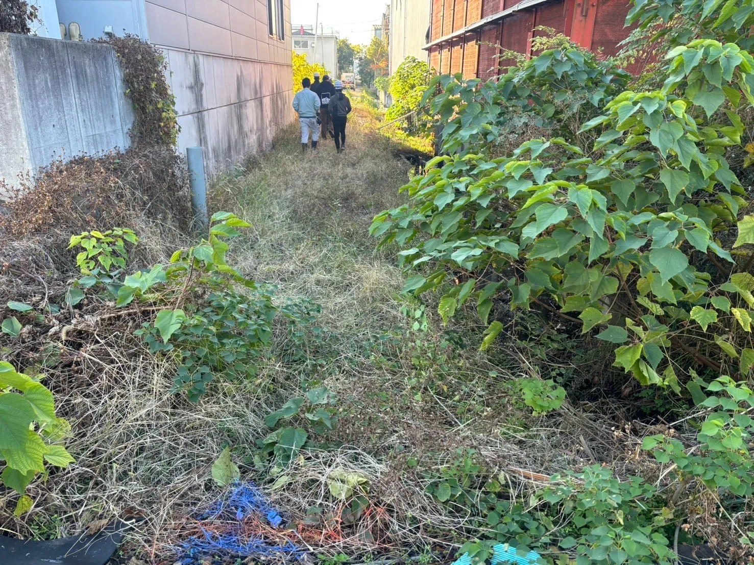 農道の草刈り依頼