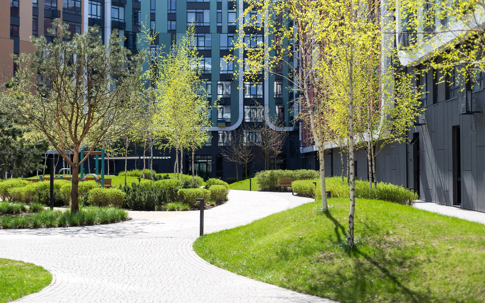 ミズノグリーン